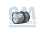 BM Catalysts Roetfilter (CAPI) (BM11103)