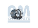 BM Catalysts Roetfilter (CAPI) (BM11103)