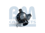 BM Catalysts Roetfilter (CAPI) (BM11109H)