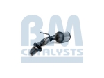 BM Catalysts Roetfilter (CAPI) (BM11115)
