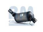 BM Catalysts Roetfilter (CAPI) (BM11109H)
