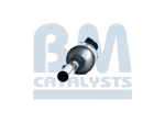 BM Catalysts Roetfilter (CAPI) (BM11022)