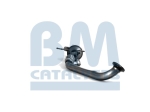 BM Catalysts Roetfilter (CAPI) (BM11115)