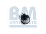 BM Catalysts Roetfilter (CAPI) (BM11022)