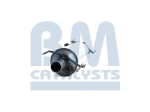 BM Catalysts Roetfilter (CAPI) (BM11038H)