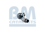 BM Catalysts Roetfilter (CAPI) (BM11461H)
