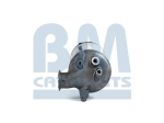 BM Catalysts Roetfilter (CAPI) (BM11033)