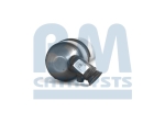BM Catalysts Roetfilter (CAPI) (BM11103)