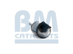 BM Catalysts Roetfilter (CAPI) (BM11022)
