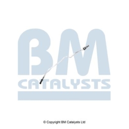 BM Catalysts Drukleiding (PP11322A)