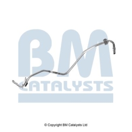 BM Catalysts Drukleiding (PP31201B)