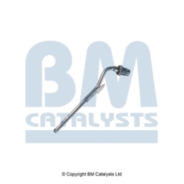 BM Catalysts Drukleiding (PP11783A)