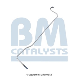 BM Catalysts Drukleiding (PP31282B)