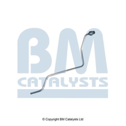 BM Catalysts Drukleiding (PP11783B)