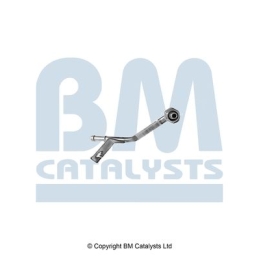 BM Catalysts Drukleiding (PP31201A)