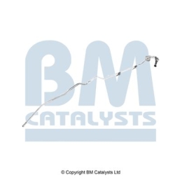 BM Catalysts Drukleiding (PP11322B)